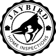 jaybird-02