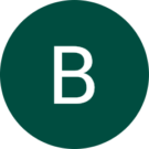 Brianne Castaldi Avatar